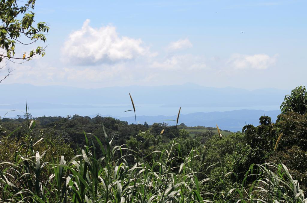 Casa Canitas Monteverde Екстер'єр фото