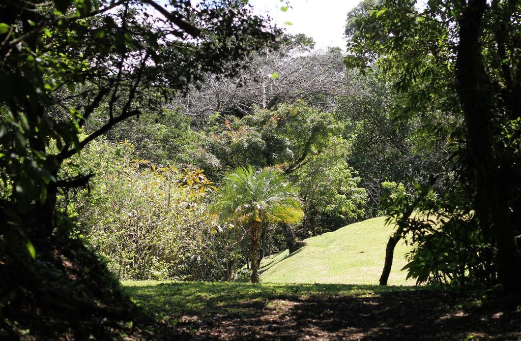 Casa Canitas Monteverde Екстер'єр фото